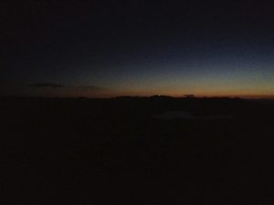 IMG_2479