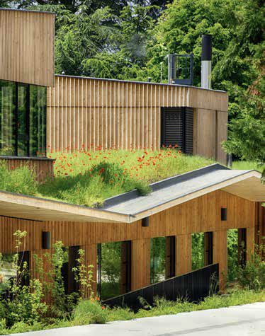 green-roof