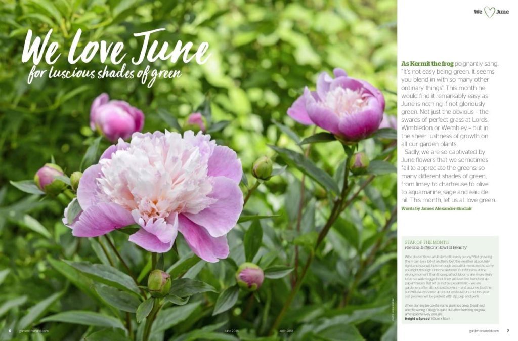 Gardeners World June 18