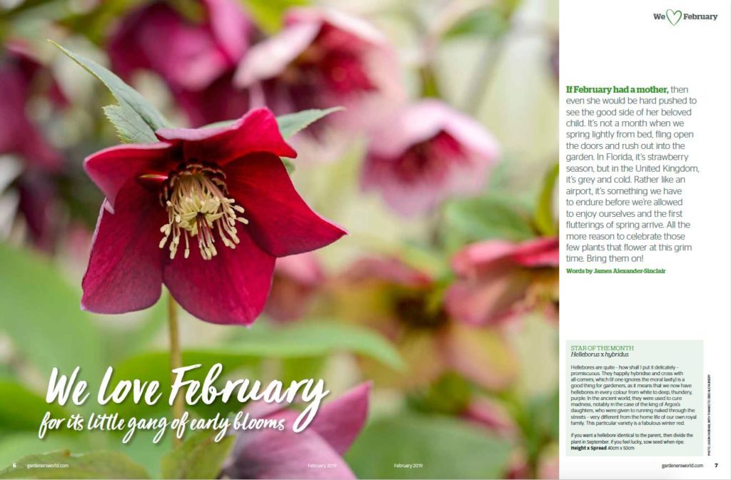 Gardeners World February 2019