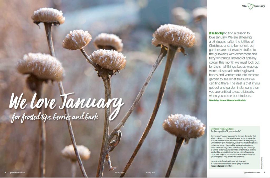 Gardeners World January 2019