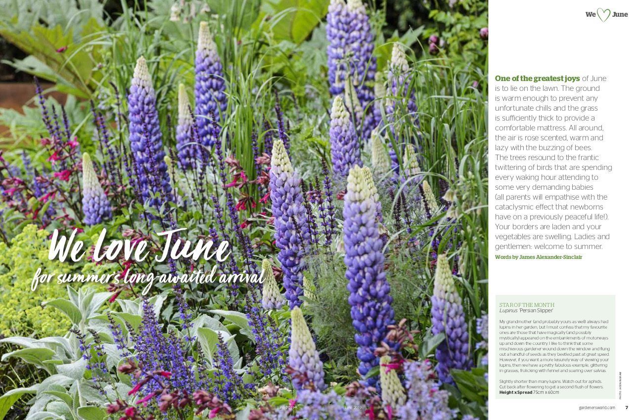 Gardeners world june 2019