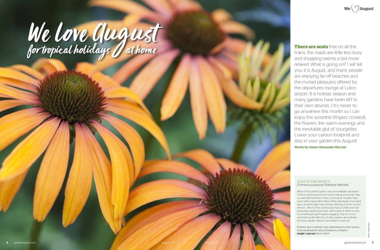 gardeners world august 2019