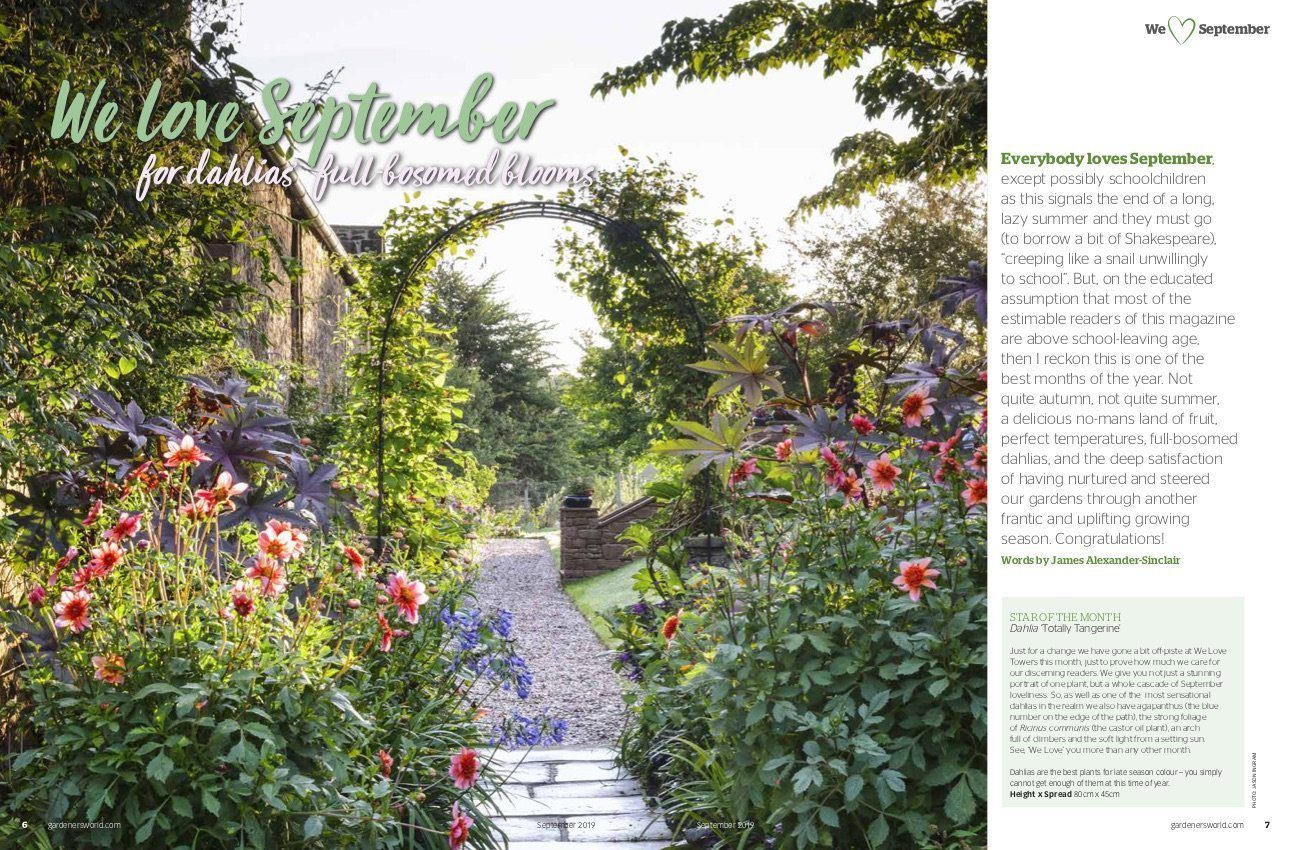 gardeners world september 2019