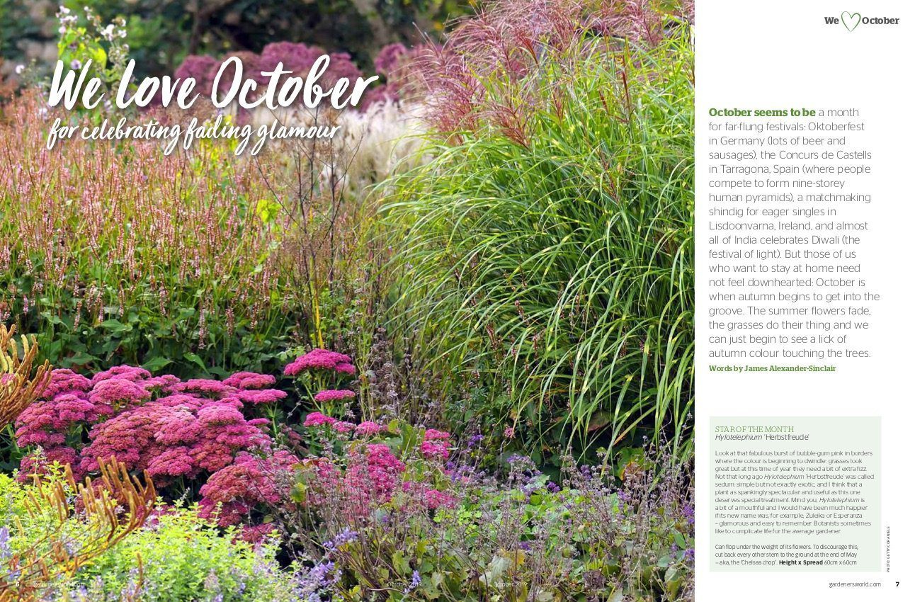 gardeners world October 2019