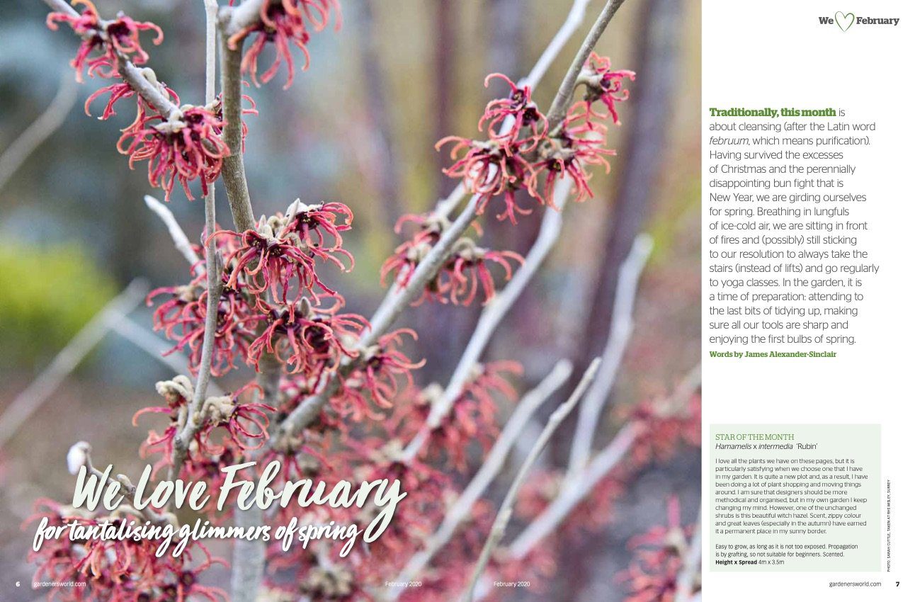 tantalising glimmers of spring